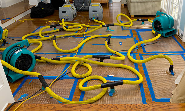 Professional Crawl Space Water Removal technician working in Hardin, TX